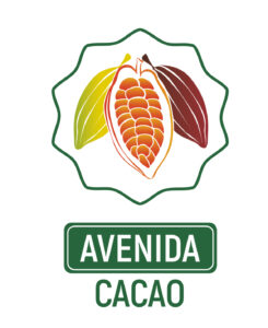 AVENIDA  CACAO