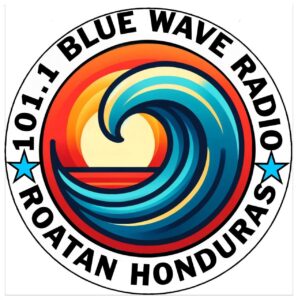 Blue Wave Radio & TV